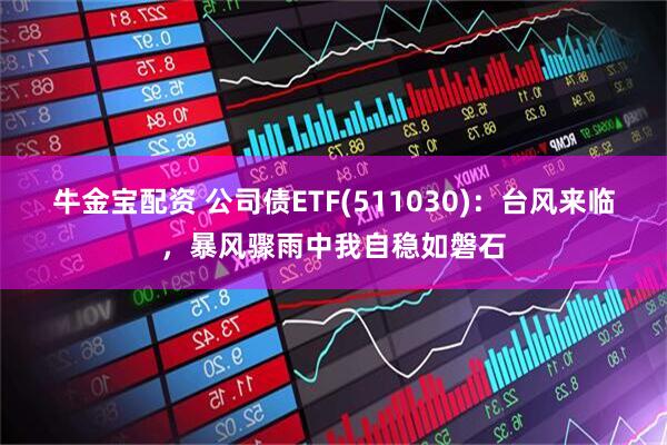 牛金宝配资 公司债ETF(511030)：台风来临，暴风骤雨中我自稳如磐石
