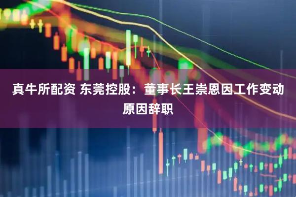 真牛所配资 东莞控股：董事长王崇恩因工作变动原因辞职